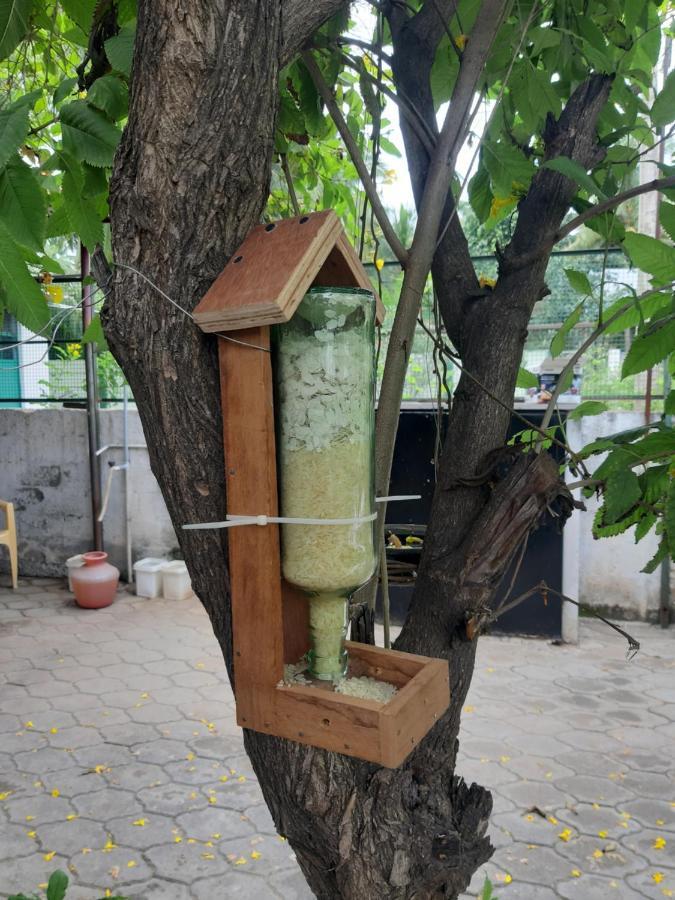 Agsara Home Stay Coimbatore Eksteriør billede
